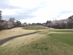 16.04.01-H28新年度2