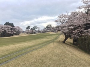 16.04.01-H28新年度3