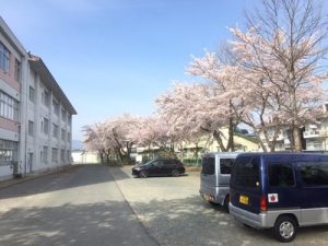 16.04.21-満開3